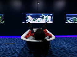 Инновационный дизайн офисов Гугл