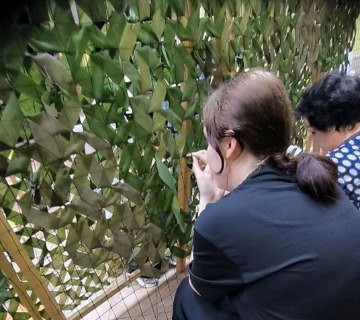 Соломенникова-1