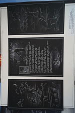 Профсоюзный комитет сотрудников университета избрал нового председателя