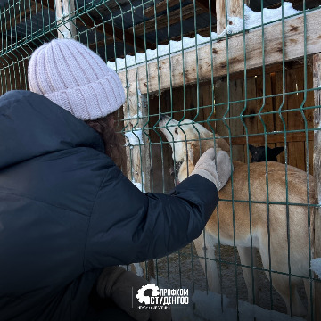 9HEciy0Ijdxkj51j_yrlKc6oCjlMprL_9ZAYC10TC-4lFgNhUCZ6KTm1_g1iUNjoFXFtS4CDcCToS8s4CsOI-1AO