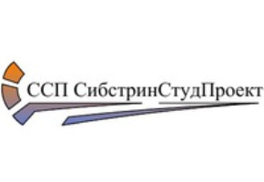 Студентов и магистрантов университета приглашают в новую студенческую организацию «СибстринСтудПроект»